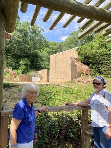 Greenville Zoo Visit